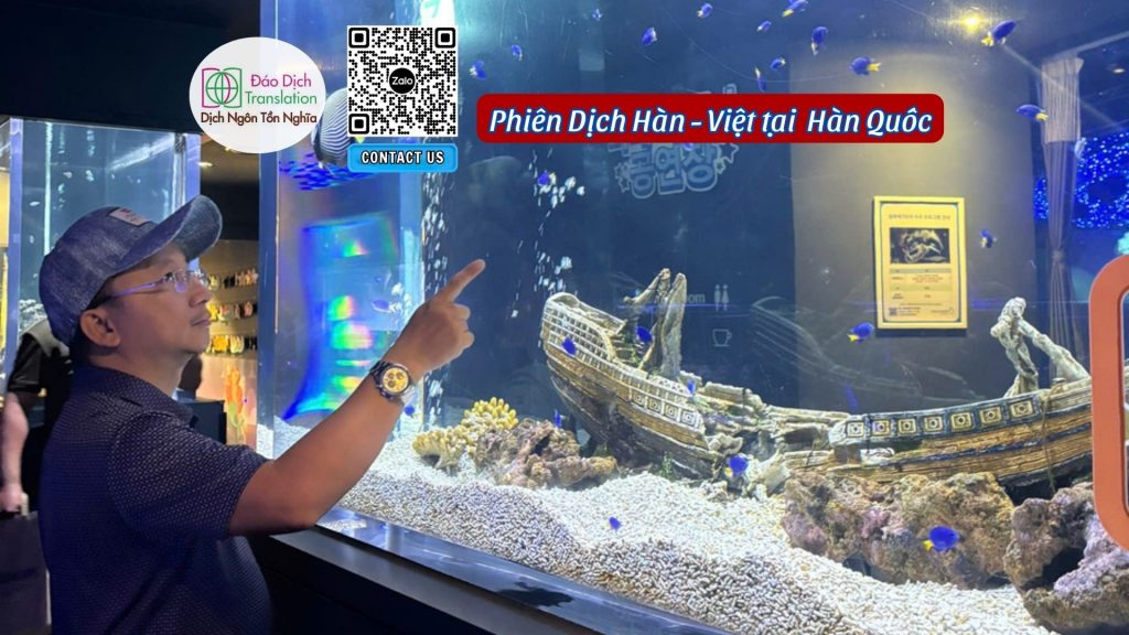 phien dich tieng han tai seoul