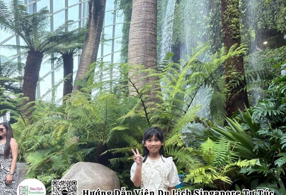 huong dan vien tieng viet tai singapore