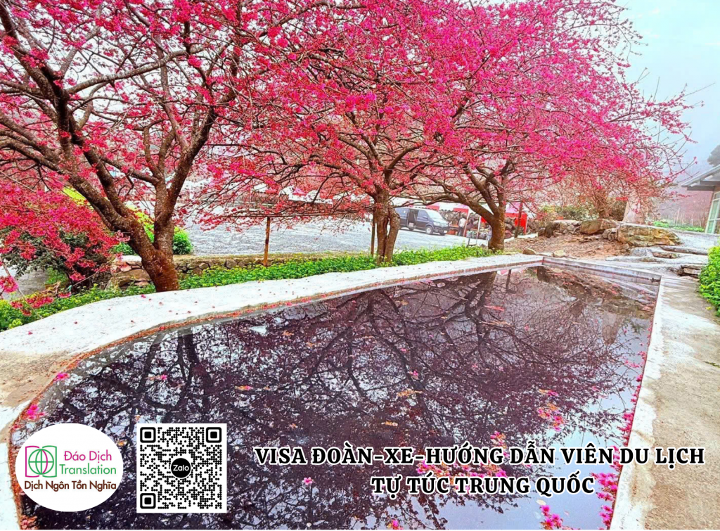 thue xe và huong dan vien du lich tu tuc trung quoc