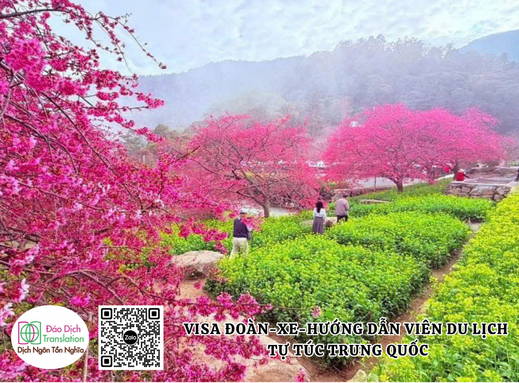 Cho thue xe và huong dan vien du lich tu tuc trung quoc