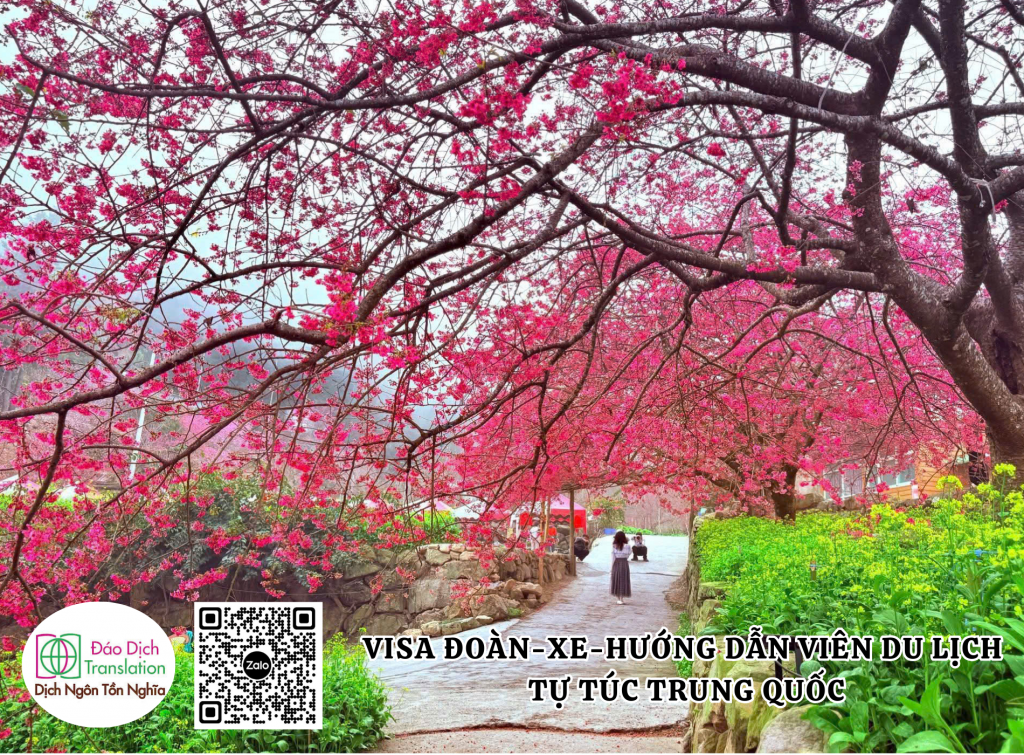 Cho thue xe và huong dan vien du lich tu tuc trung quoc