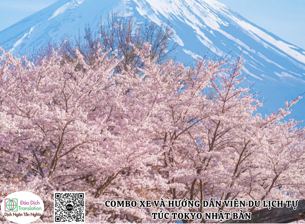 Cho thue xe va huong dan vien tai Nhat ban tet 2026