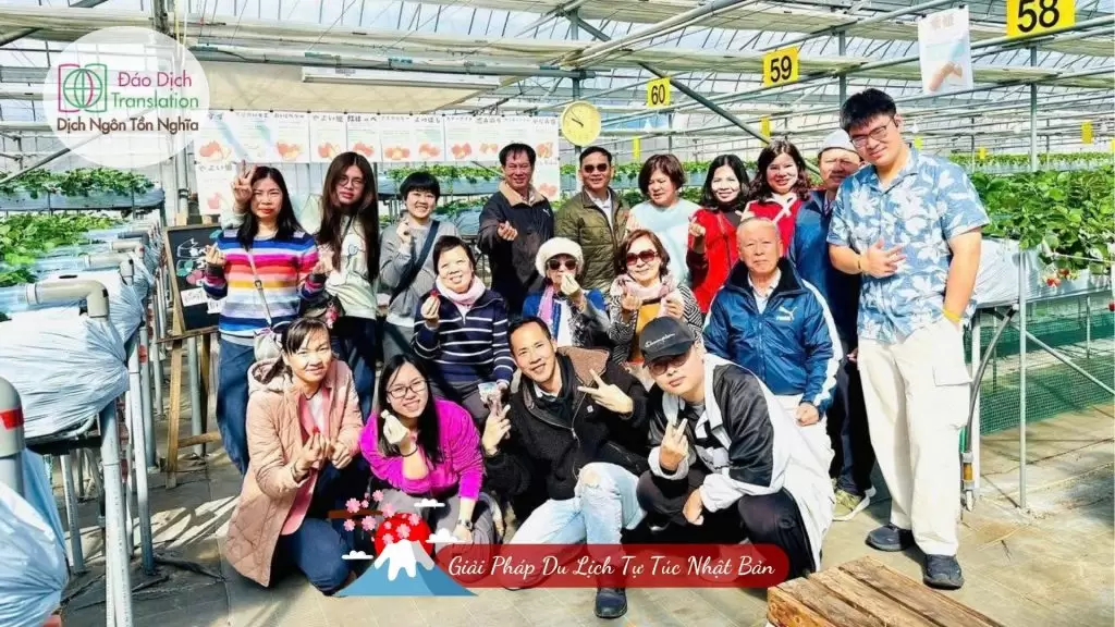 hai dau tai nhat ban