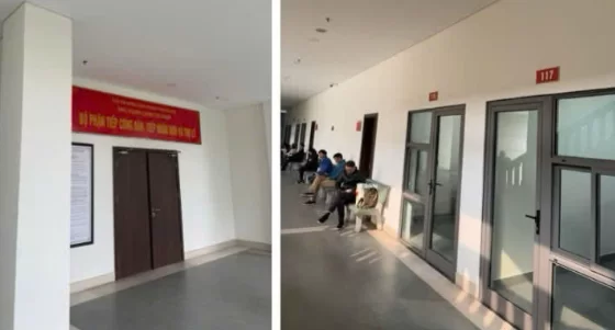 cho thue phien dich vien tai toa an