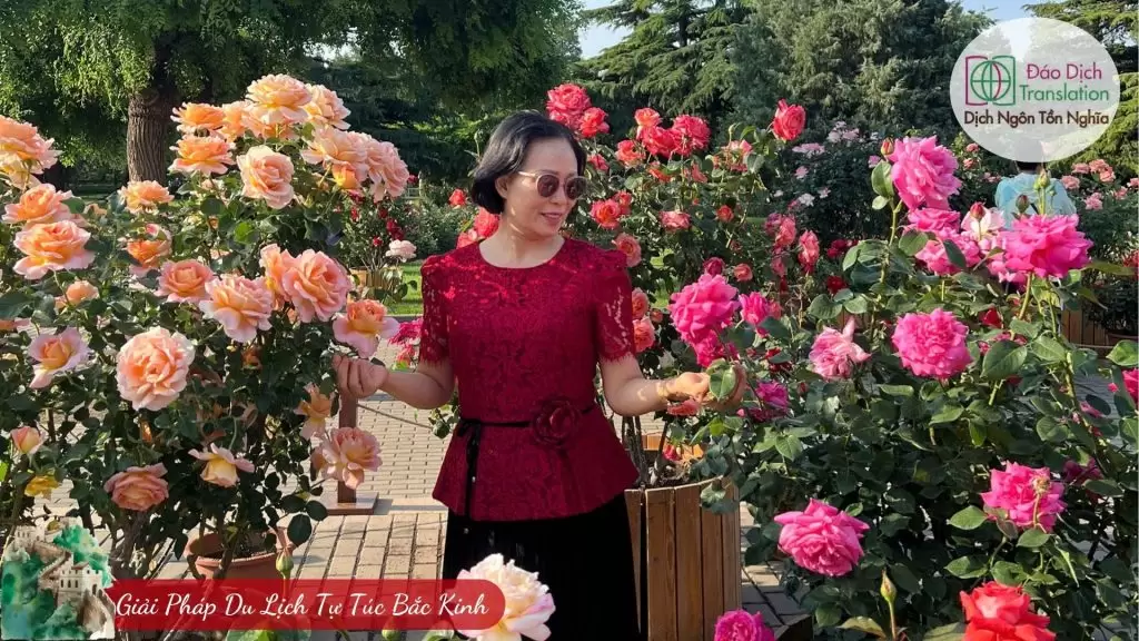 huong dan vien du lich tu tuc tai bac kinh