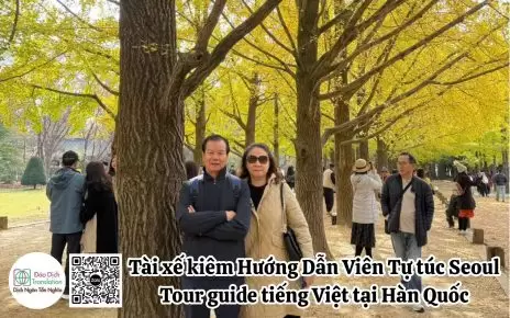 tai xe kiem tour guide tai seoul