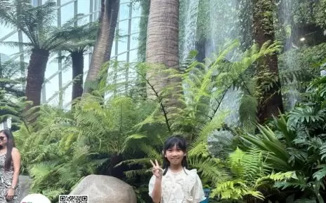 huong dan vien tieng viet tai singapore