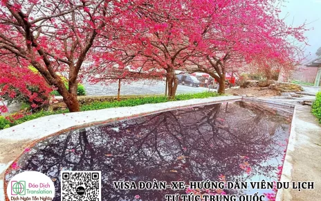 Cho-thue-xe-va-huong-dan-vien-du-lich-tu-tuc-trung-quoc