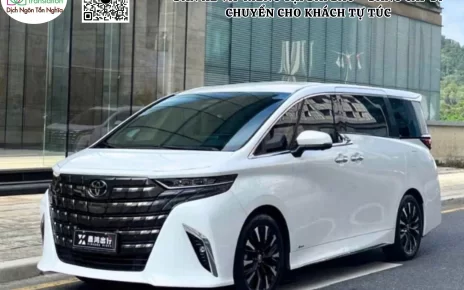 dich-vu-xe-du-lich-tu-tuc-va-xe-cong-tac-cao-cap.