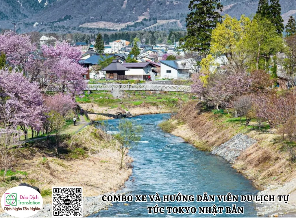 Cho thue xe va huong dan vien tai Nhat ban tet 2026