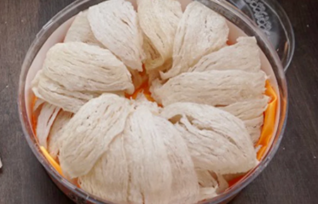 tổ yến
