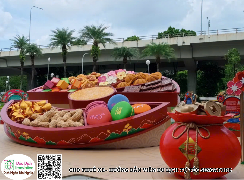Cho thue xe va huong dan vien tu tuc singapore tet 2026